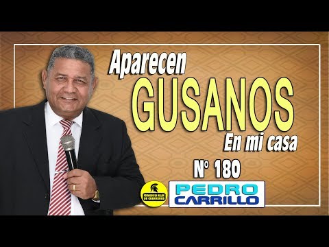 Vídeo: DLC De Gusanos Mañana