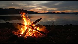 Forest Campfire Sleep Sounds LIVE – Crackling Fire