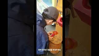 토정비결 한판!
