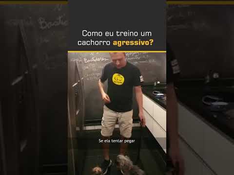 Vídeo: Como Treinar um Cão Agressivo-Alimentar