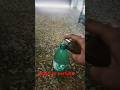 #shorts #viralvideo