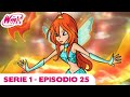 Winx Club EPISODIO COMPLETO Il Sonno Di Magix Serie 1 Episodio 25