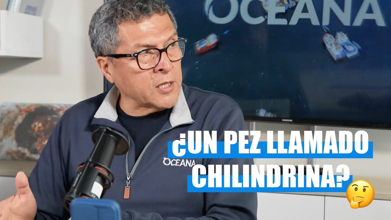 RESPONDEMOS LAS PREGUNTAS DE NUESTROS SEGUIDORES