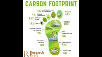 Understanding Carbon Footprints: Impact, Causes, and Solutions