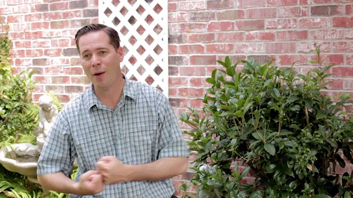 The Testimony of Craig Booher - ALivingGod.com