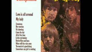The Troggs-Little Red Donkey chords
