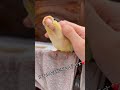 【ＴＯＫＹＯ店】ホオミドリアカオウロコインコ【どの子がどの色？】