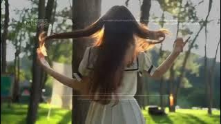 INTRO MOBILE LEGENDS X CEWEK TIK TOK LAGI VIRAL FULL SCREEN HD NO PW