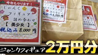 いまさら年始に買ったジャンクフィギュア福袋2万円分開けたらめっちゃ当たりだった！