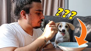 Eating İnvisible Food With My Dog 🤣 Empty Plate Challenge !