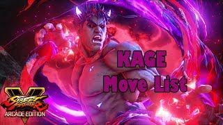 SFV AE - Kage Move List (Evil Ryu Manifestation)