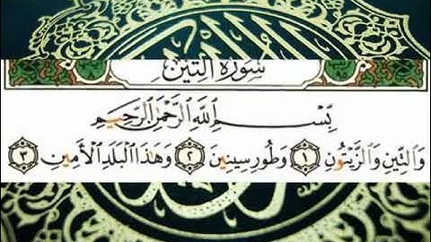 سورة التين (قراءة تعليمية) الشيخ أبي الحسن هشام