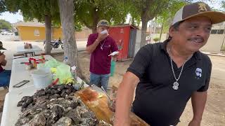 Vámonos a comer rico ostiones frescos de piedra con el gato parado