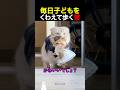 毎日子どもをくわえて歩く猫