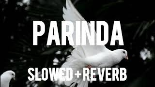Parinda [Slowed and Reverb] | Xuban | @cluelessfacts