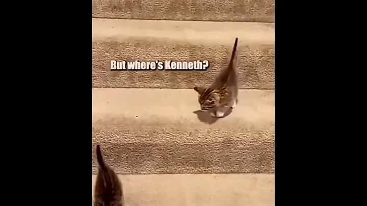 Stairs are very treacherous 😂🤣😅#shorts #funny #youtube