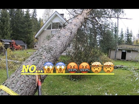 Video: Puuhuonekalut, puu talo, kaikki puuta