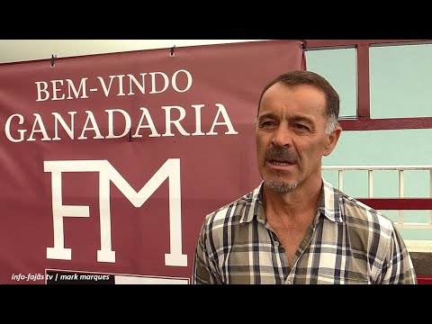 Tourada à corda, ilha de São Jorge, 18 de outubro de 2025