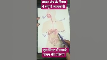 #ltgrade # pachan tantra # Digestivesystem # home Science #humanbody #gichomescience #selevery #gic