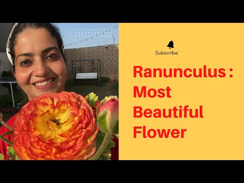 World's Prettiest Flower