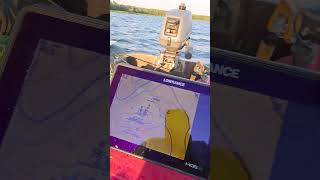 Как поймать 75 сантиметрового судака и его отпустить #fishing #рыбалка #panoptixlivescope