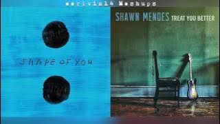 Shape of You vs. Treat You Better (Mashup) - Ed Sheeran & Shawn Mendes - earlvin14 ()