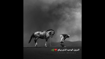 القارئ عبد الرحمن مسعد || سورة المزمل حالات واتس قرآن