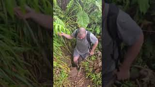 Ronald hike to the top of Nevis peak volcano with a bad knee  believe in yourself 💯
