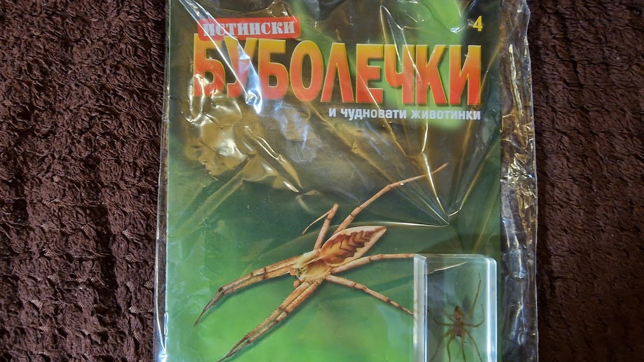 Real Bugs, 4 - Pisauridae spider/ Истински буболечки, бр.4 - Паяк пизаурид