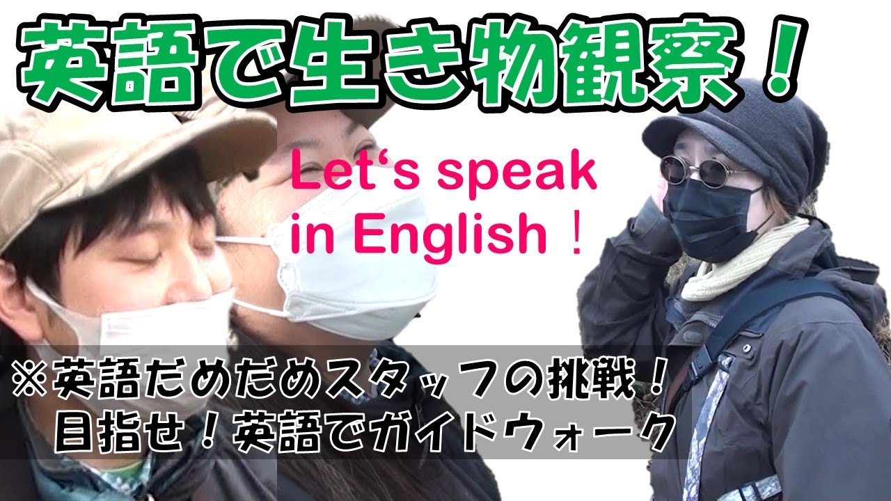 英語で生き物観察に挑戦 目指せ英語でガイドウォークの道 Youtube