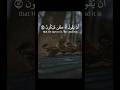 إن م ا أمر ه إذ ا أر اد ش يئ ا أن ي ق ول له ك ن ف ي كون سورة يس عبد الوهاب طاهر Shortvideo 