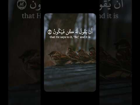 إن م ا أمر ه إذ ا أر اد ش يئ ا أن ي ق ول له ك ن ف ي كون سورة يس عبد الوهاب طاهر Shortvideo 
