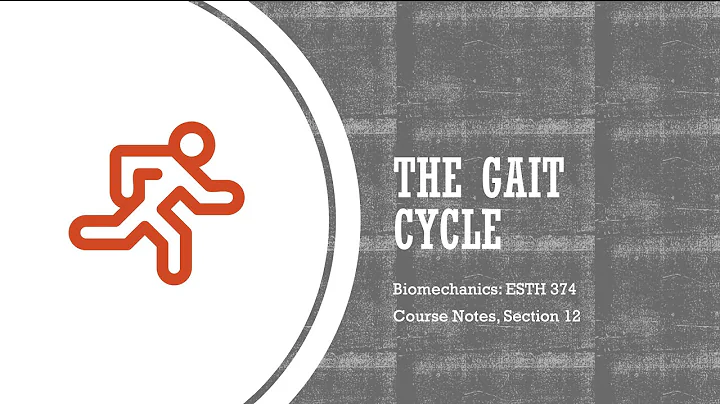 The Gait Cycle - Biomechanics