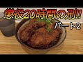 【超過酷】関東近郊日帰り大回り旅に挑戦してみた パート2(鉄道旅行)