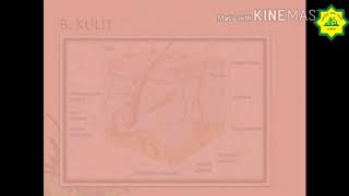 Kelas ix mapel ipa eps 1 tentang teori ekskresi