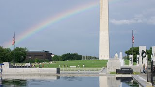 UFC Media Day, Baby Ducks, and a rainbow over the Reflecting Pool