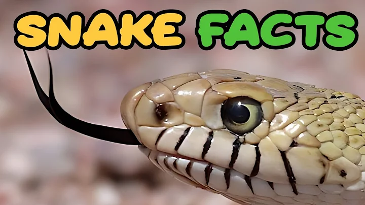 Shocking facts about snakes you should definitely know