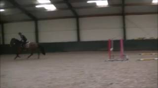 3yo mare first jumps under saddle