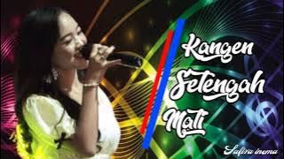 #laguterbaru2021safirainema Kangen Setengah Mati-Safira Inema