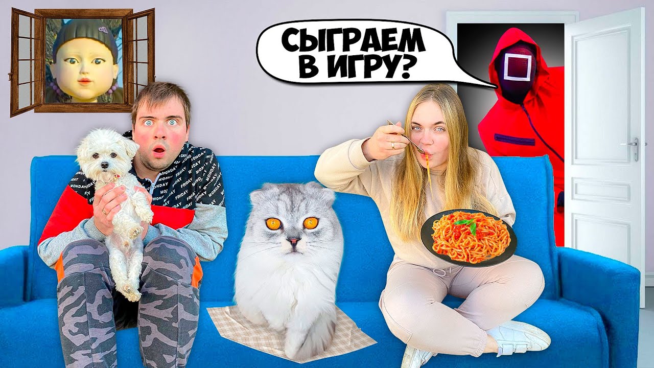 Ляпота тв 24 часа в доме из картонных кирпичей - фото