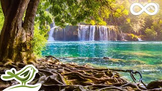 The Small Pond: Relaxing In A Nature Oasis With Harp Music