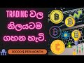 Trading වල නිලයටම ගහන හැටි.