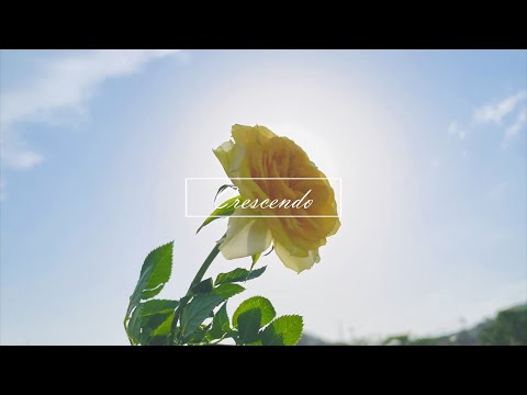【実写MV】Crescendo feat.rin【オリジナル】