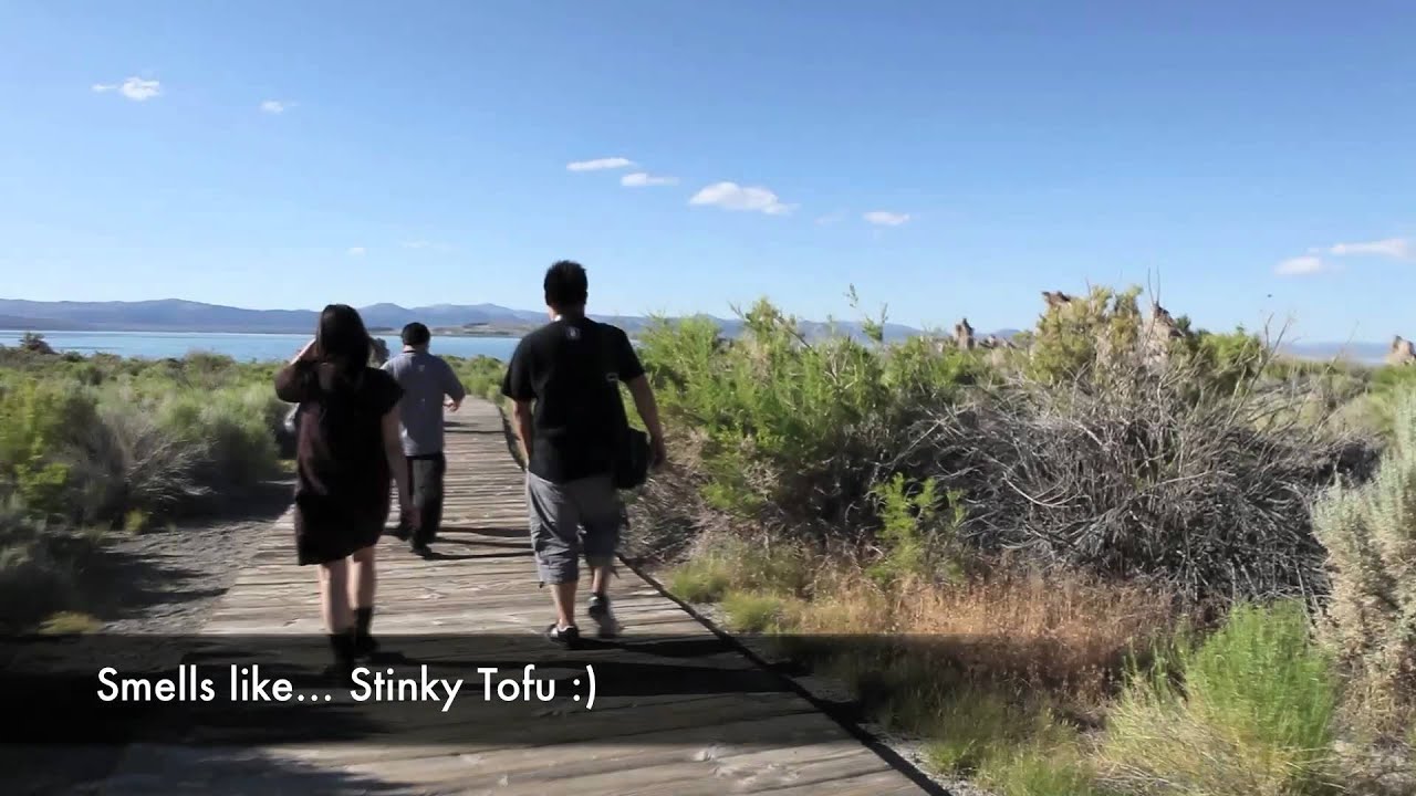 Summer Mammoth Trip 2011 Mono Lake Youtube