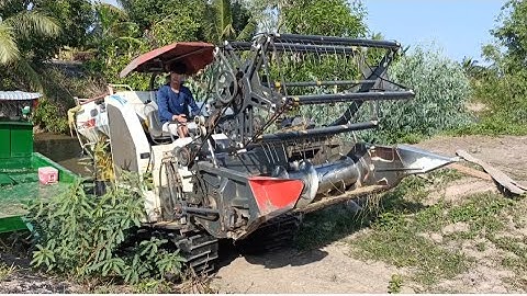 máy cắt 70 binh cắt lúa ô em 18 tốc độ rất nhanh tập 6#maibangtv