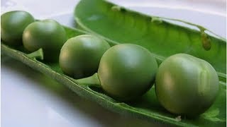 Proteine Del Pisello Proprietà E Valori Nutrizionali