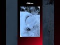 BARILOCHE: tapados por la nieve