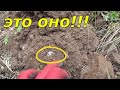 Поиск золота по лесным хуторам, с MINELAB EQUINOX