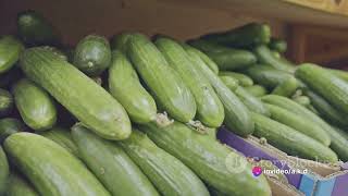 Decoding PLU Codes: The Supermarket Secret Content