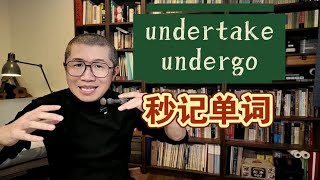 顿悟：undertake 和 undergo ～